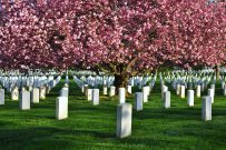 Arlington,National,Cemetery,,Washington,Dc,,Usa
