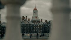 clay-banks-s60frsAwJX0-unsplash (2)