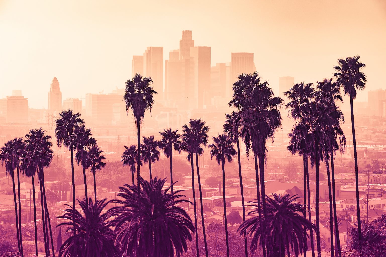 Америка Эстетика Лос Анджелес