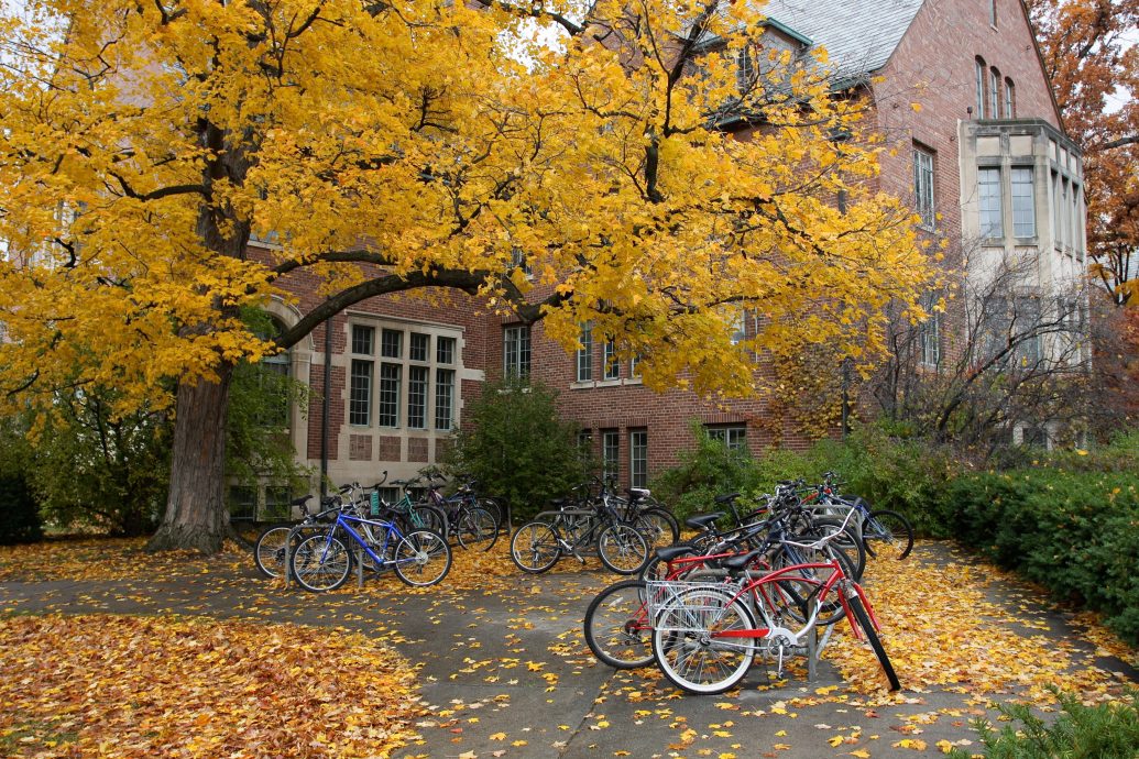 Fall College Campus. University student dorm with autumn leaves