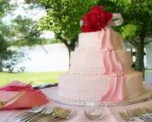 Wedding Cake with Lake in Background