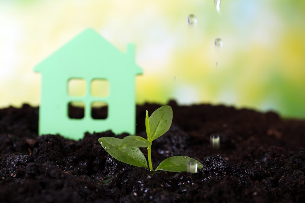 Green seedlings with small house in soil on bright background