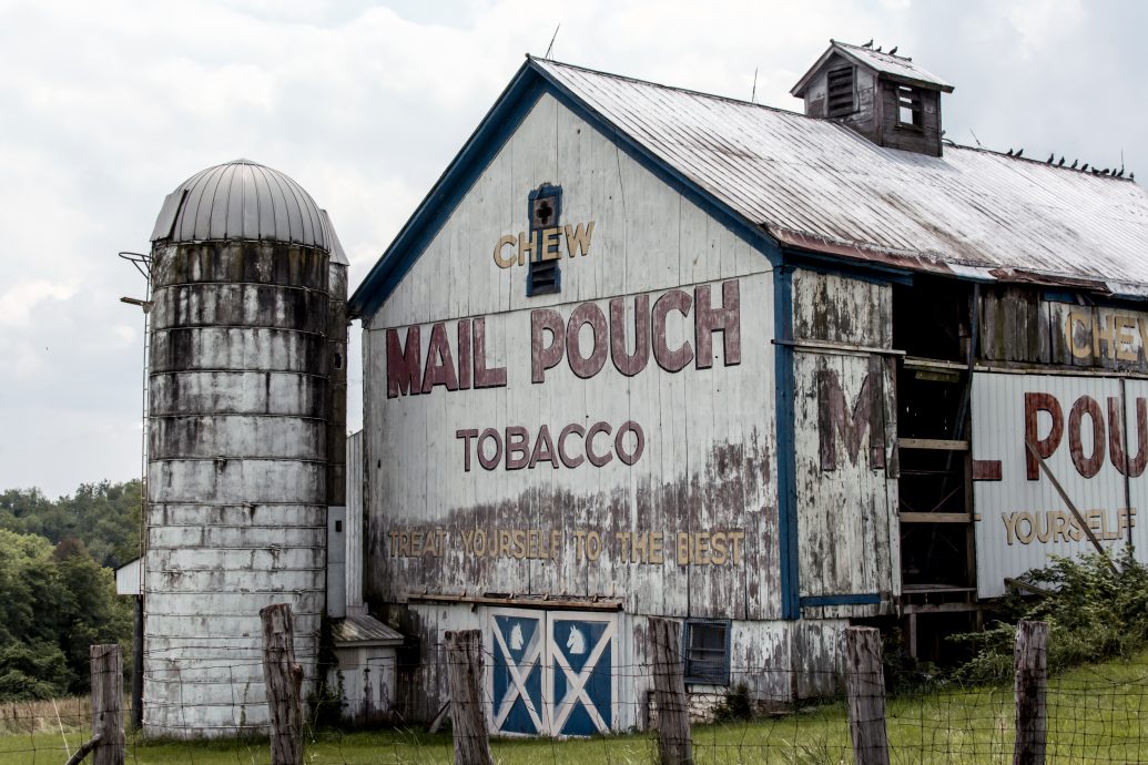 Old barn with a Mail Pouch Tobacco ad painted on in rural Ohio