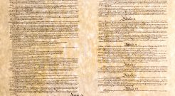 Constitution Articles