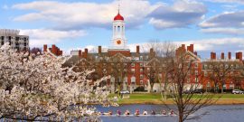 Harvard in Spring