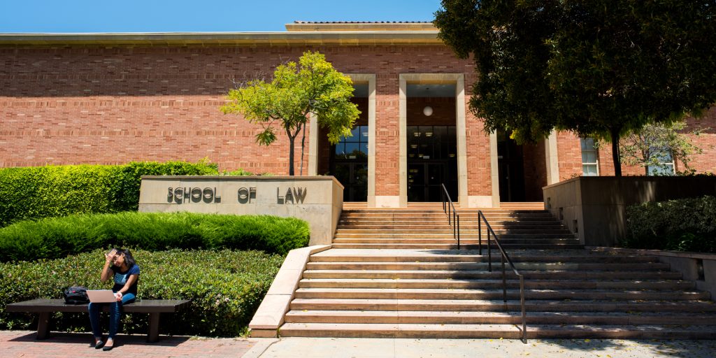 Intellectual diversity essay 05 picture