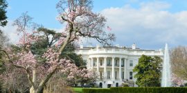 shutterstock_384702961 (WH in Spring)