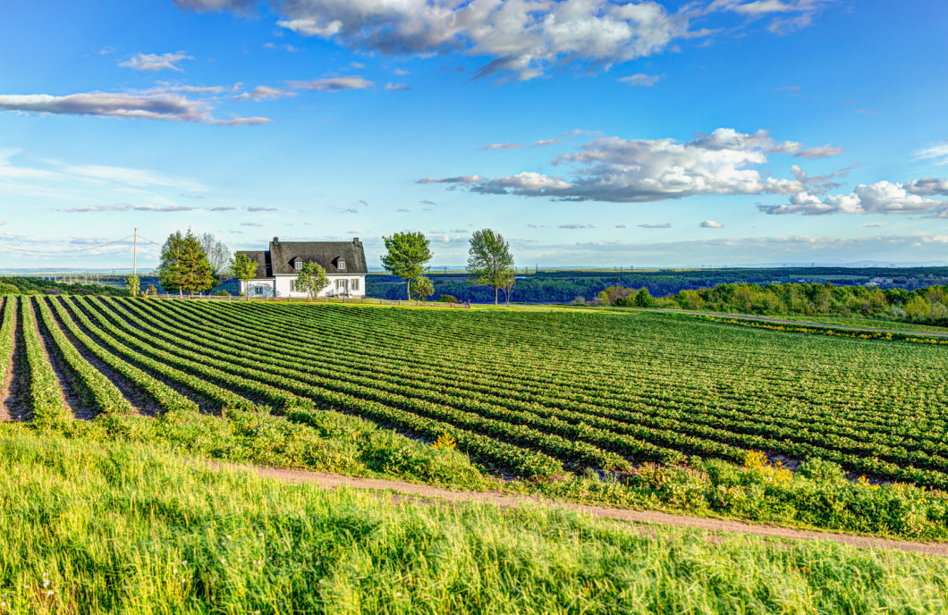 Landscape view of farm in Ile D’Orleans, Quebec, Canada with house
