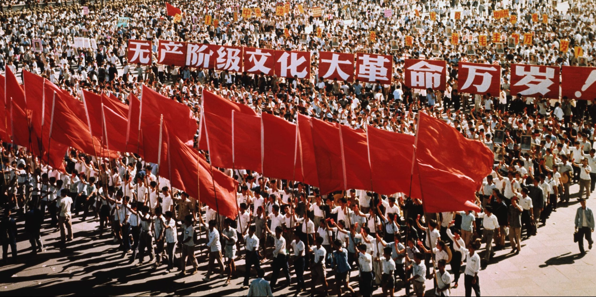 propel tøjlerne Match America's Cultural Revolution? – Habi Zhang