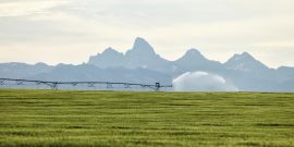 A732F344-C4E5-4A59-9028-ADD81FCBF1B6_1_201_a