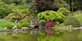 Brooklyn_Botanic_Garden_New_York_May_2015_panorama_2
