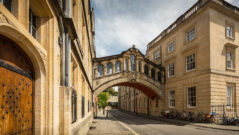 The Rise and Fall of the Oxbridge Dons